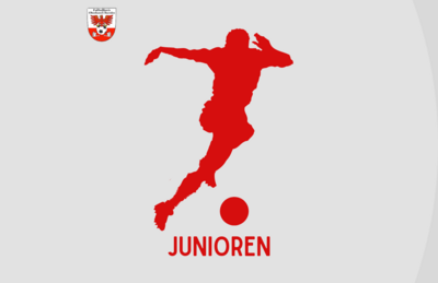 Staffeleinteilungen der F-Junioren (Turnierform) und G-Junioren (Kinderfußball) veröffentlicht (Bild vergrößern)