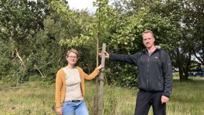 Meldung: Obstbaumprogramm Samtgemeinde Barnstorf