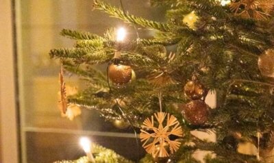 Der Tannenbaum bei unserer Weihnachtsfeier im letzten Jahr (Bild vergrößern)