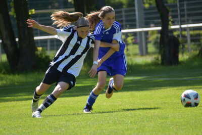 U14-Talente gesucht: Sei im September dabei! (Bild vergrößern)