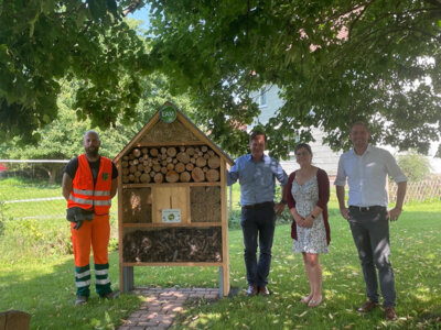 Foto zu Meldung: Die EAM fördert den Schutz von Insekten