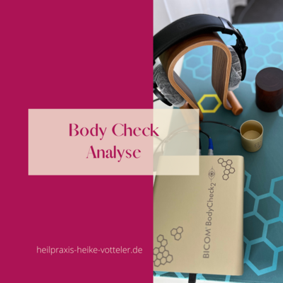 Body Check Analyse (Bild vergrößern)