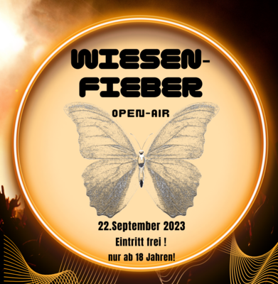 So funktioniert Beteiligung! Wiesen-Fieber Open-Air 2023 in Wittenberge (Bild vergrößern)