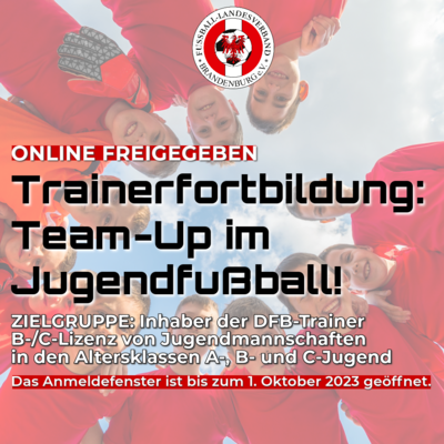 Link zu: Trainerfortbildung "Team-Up!" im Jugendfußball startet