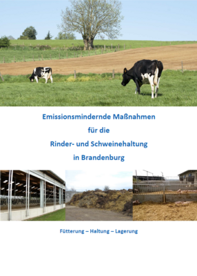 Emissionsmindernde Maßnahmen für die Rinder und Schweinehaltung – eine Informationsbroschüre für Tierhalter