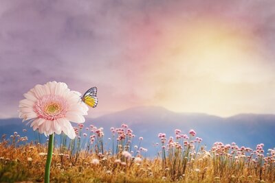 @Foto Pixabay (Bild vergrößern)