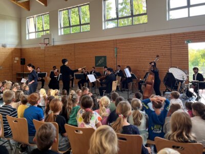Sinfoniekonzert (Bild vergr&ouml;&szlig;ern)