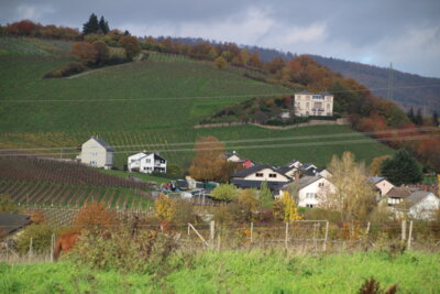 Unterwegs von Eltville auf dem Gutenbergweg (Bild vergrößern)