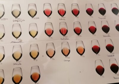 Meldung: "Alles außer Riesling und Spätburgunder"