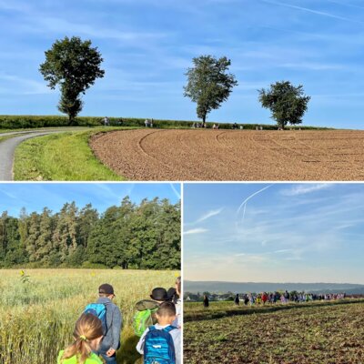 Wandertag an der Grundschule