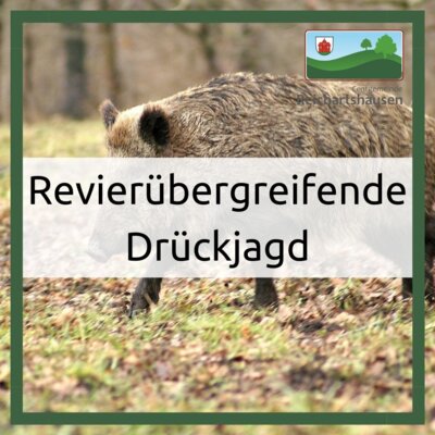 revierübergreifende Drückjagd am 2. Dezember (Bild vergrößern)