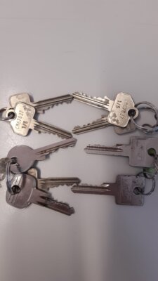 Schlüsselbunde in Rotscherlinde gefunden (Bild vergrößern)