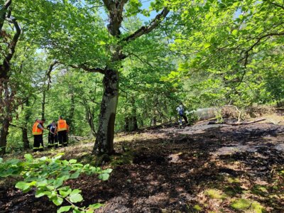 Waldbrand_Schutzgebiet  Einsatz im Schutzgebiet: Bricht ein Waldbrand im Nationalpark Kellerwald-Edersee aus, sind aufgrund der Naturschutzbedingungen und der oft schwer zugänglichen Wege einige Besonderheiten zu beachten.  Bildautor: Nationalpark Kellerwald-Edersee (Bild vergrößern)