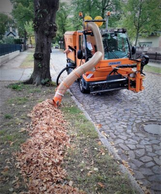 Foto zur Meldung: Laubentsorgung der Straßenbäume in den einzelnen Ortschaften