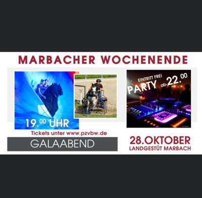 Meldung: Marbacher Wochenende mit Highlights für die ganze Familie Show – Sport – Auktion