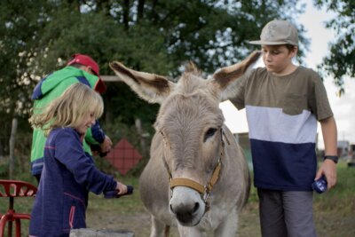 Kinder aus den Nachbarorten kommen gern zum Eselschmusen. Foto: Peter Mittwoch (Bild vergrößern)
