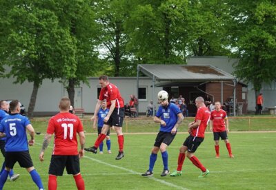 VfB - 2.Männer mit Heimerfolg