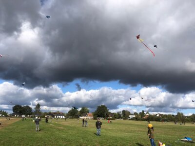 Drachenfliegen auf der Wiese hinter dem Damsdorfer Spielplatz (Bild vergrößern)