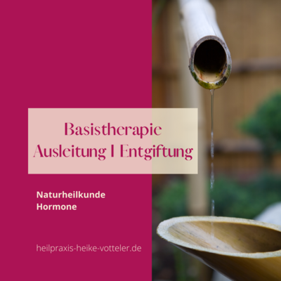 Basistherapie Ausleitung / Entgiftung (Bild vergr&ouml;&szlig;ern)