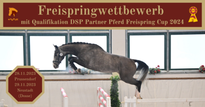 Meldung: DSP Partner Pferd Freispring Cup 2024 – Vorauswahlen in Prussendorf und Neustadt (Dosse)