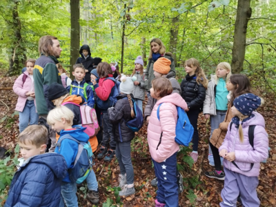 Klassenausflug in den Wald