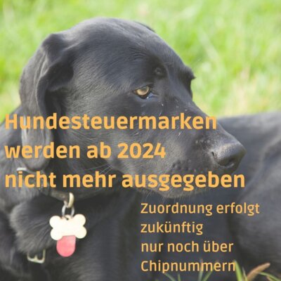 Foto zur Meldung: Keine Hundesteuermarken mehr ab 2024