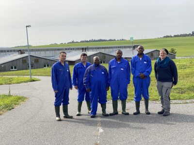 Meldung: Hoher Besuch aus Afrika