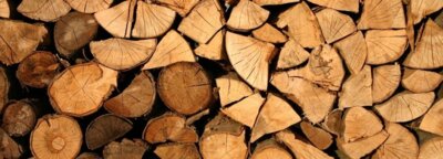Bedarfsmeldung Brennholz