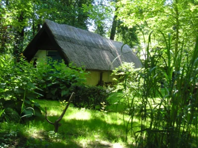 NEU!!! 16.05.26 Fotoworkshop: Auf Frühlingstour durch den Burger Spreewald / Na nalětnej droze pó Bórkowach w Błotach (Bild vergr&ouml;&szlig;ern)