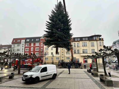 Am Montag Nachmittag wurde der Weihnachtsbaum vor dem Kultur- und Festspielhaus aufgestellt I Foto: Martin Ferch (Bild vergrößern)