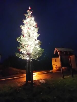 Weihnachtsbaum in Niedermehlen