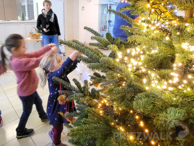 Ganz schön aufgeregt waren die Kinder aus der Steffenshagener „Hummelburg“, als sie mit dem Bürgermeister den Weihnachtsbaum im Pritzwalker Rathaus schmückten. Fotos: Beate Vogel
