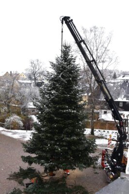 Aufbau Weihnachtsbaum Rathausvorplatz (Bild vergrößern)