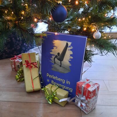 Rolandstadt Perleberg | Die Sportchronik macht sich ganz gut unterm Weihnachtsbaum!