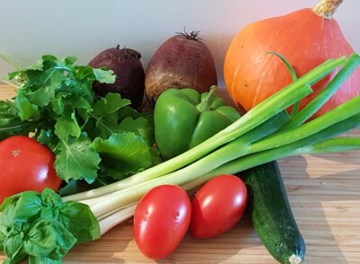 Knochengesund essen - aktiv gegen Osteoporose (Kompaktkurs) (Bild vergrößern)
