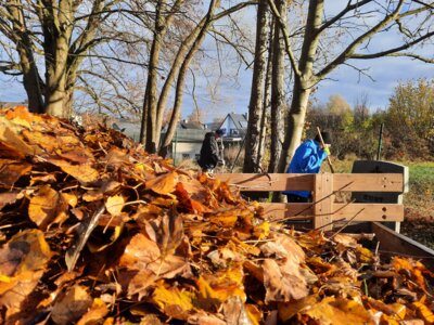 Arbeitseinsatz auf dem Friedhof am 18. November 2023 (Bild vergrößern)