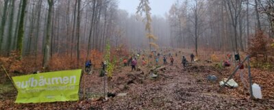 Die Grundschule Rottendorf bei der Baumpflanzaktion in Eußenheim mit dem Bergwaldprojekt (Bild vergrößern)