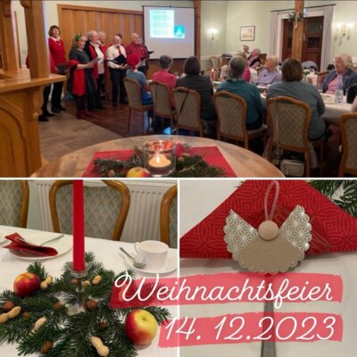 Weihnachtsfeier / LandFrauenverein Amelinghausen (Bild vergrößern)