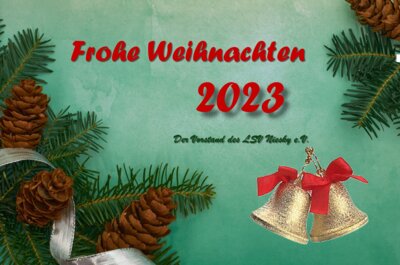 Weihnachten LSV Ny - StockSnap_FQBP4HJG7B.jpg (Photo by Seacoast Sage on StockSnap)
