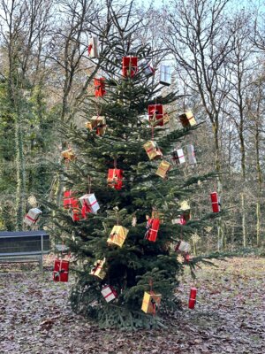 Weihnachts- und Neujahrsgruß