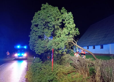 Foto zur Meldung: Einsatz: Baum droht auf Straße zu stürzen