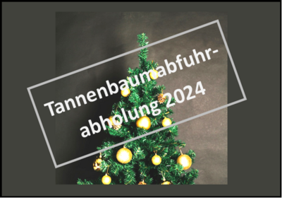 Tannenbaumabfuhr- abholung 2024 (Bild vergrößern)