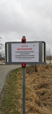 Meldung: Vogelgrippe im Landkreis Sonneberg amtlich festgestellt