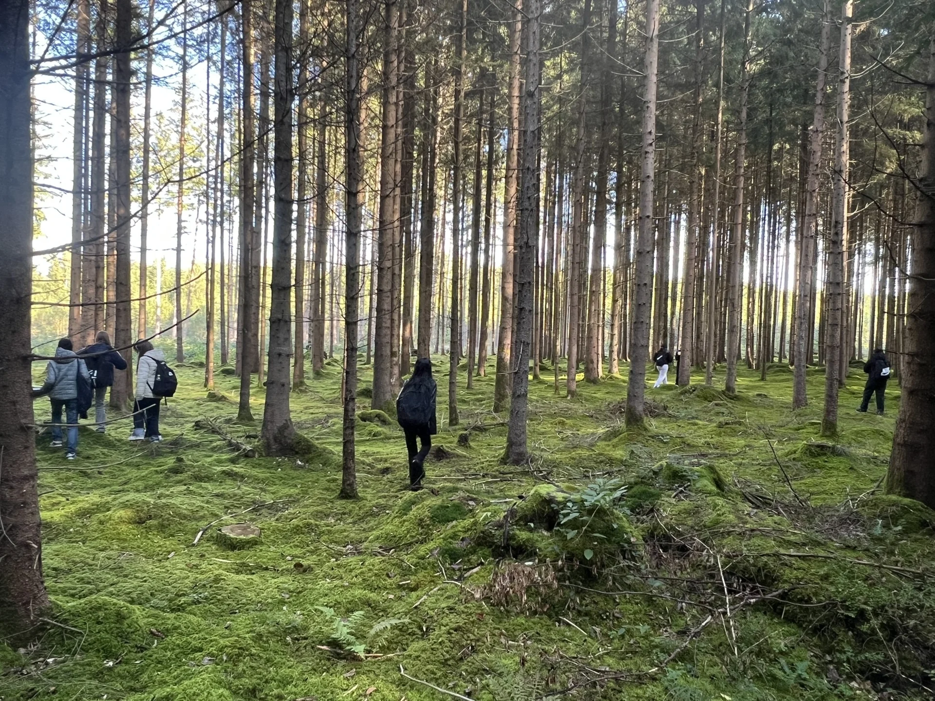 Bild-20251002-083225-acbb8c1e