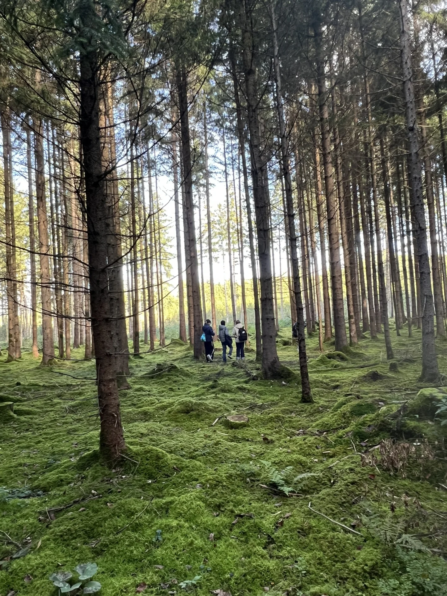 Bild-20251002-083247-910600c9