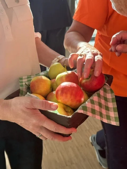 Tag der Gesundheit 2026