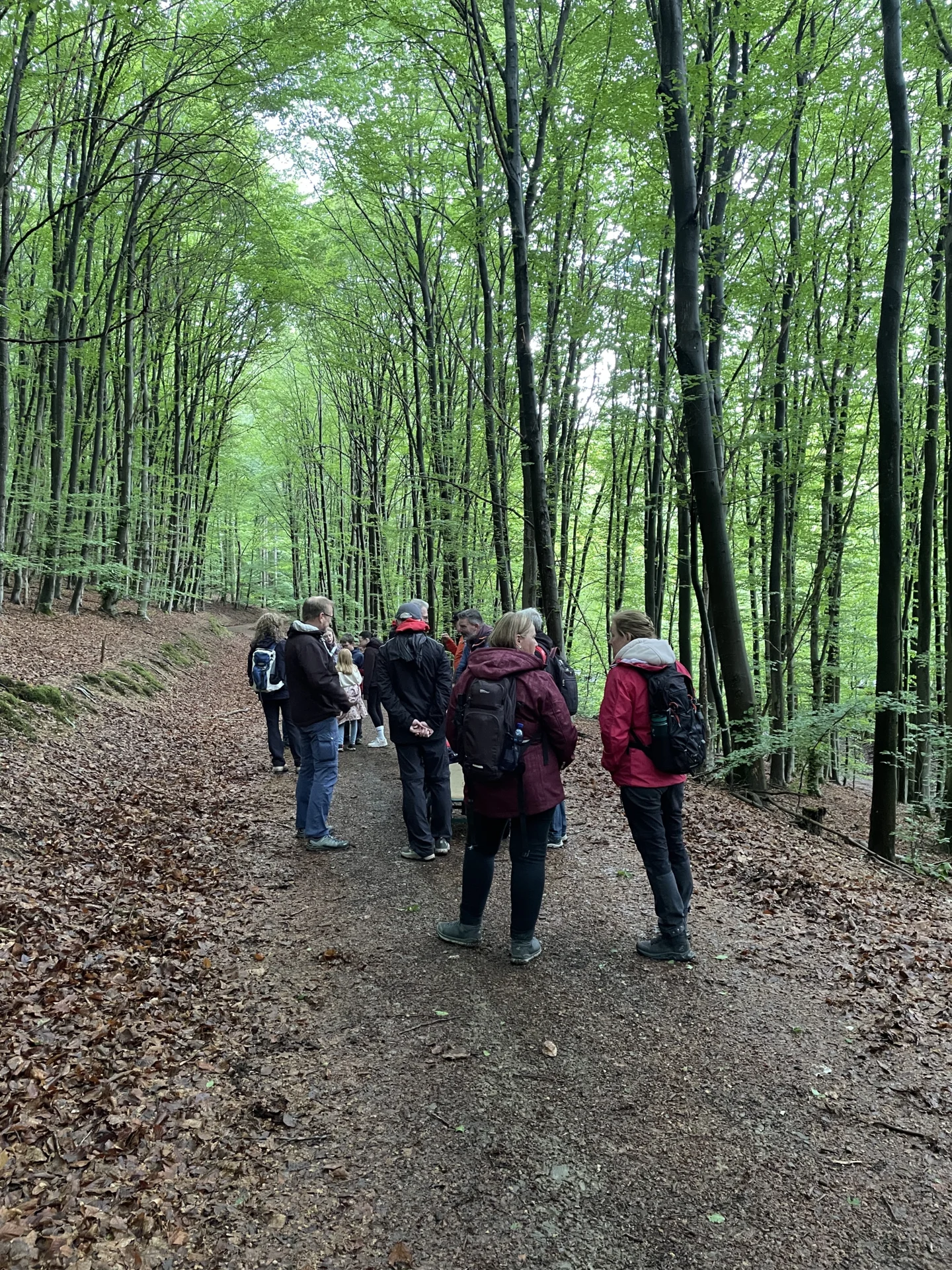 Wanderung 2026