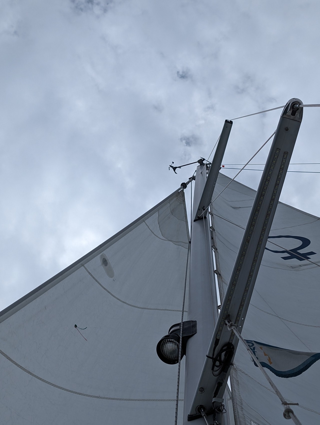 Neuer Windex auf dem Mast