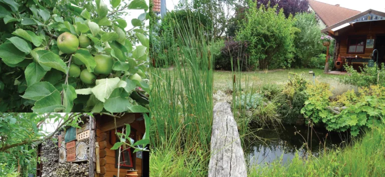Gartenwettbewerb
