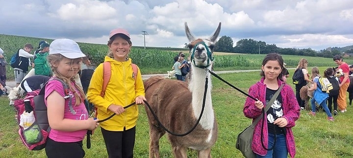 Fahrt zu den Alpakas und Lamas